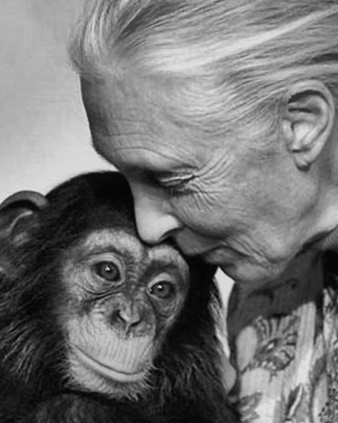 Jane Goodall